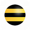 Beeline